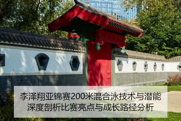 li-ze-xiang-ya-jin-sai-mi-hun-he-yong-ji-shu-yu-qian-neng-shen-du-pou-xi-bi-sai-liang-dian-yu-cheng-zhang-lu-jing-fen-xi-2-128.jpg